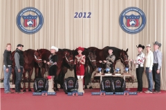 2012 Quarter Horse Congress