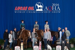 2016 AQHA World Champion
