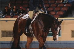 Amanda Gately