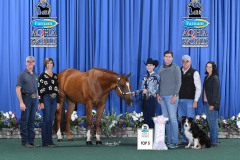 Anne-Oldfather-world-show